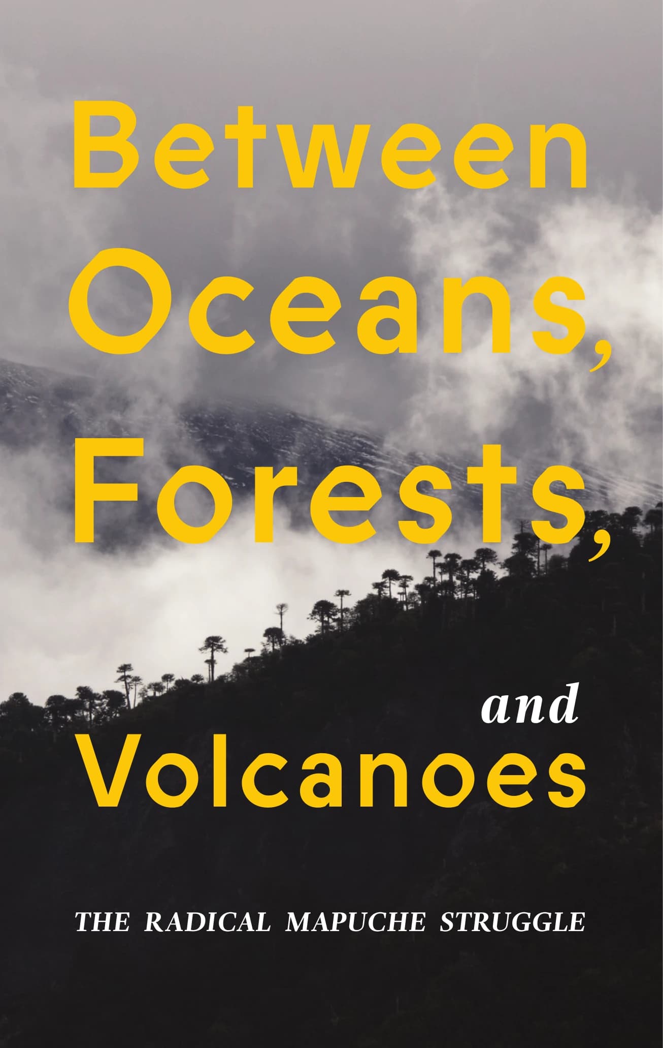 Between Oceans, Forests, and Volcanoes