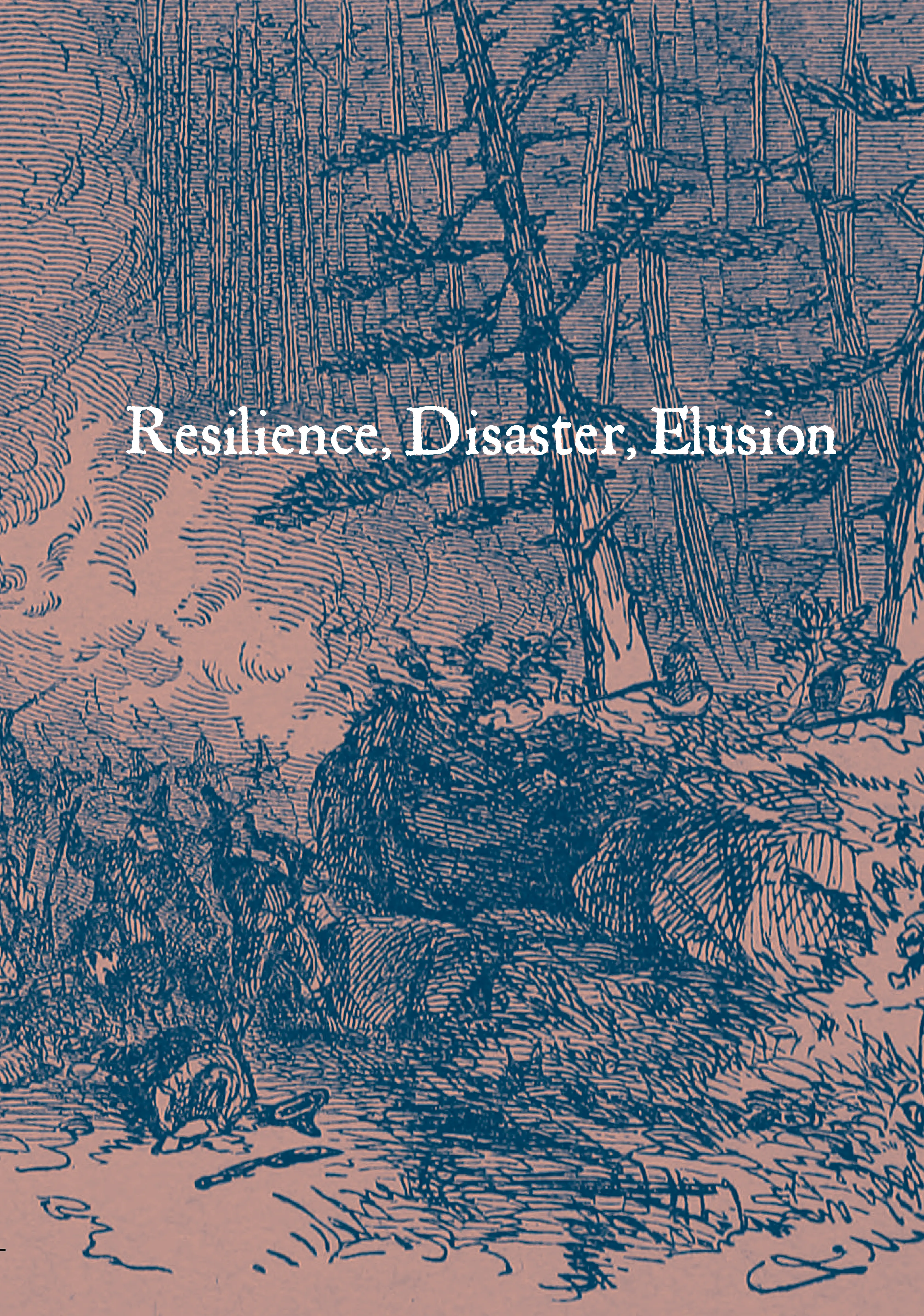 Resilience, Disaster, Elusion